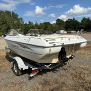 2003 Stingray 190LS